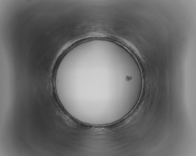 X0000111941168200907271008