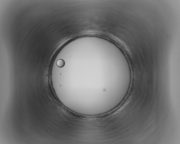 X0000111941170200907271008