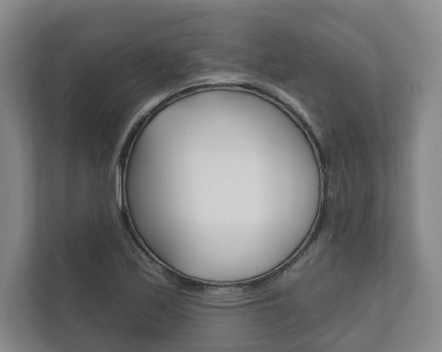 X0000111941171200907271008