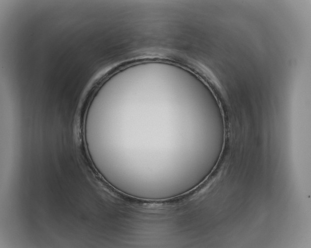 X0000111941172200907271008