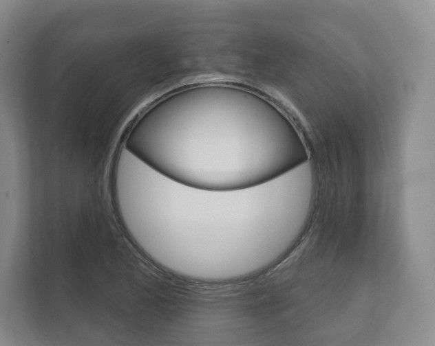 X0000111941173200907271008
