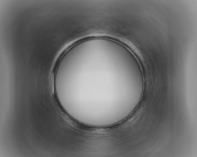 X0000111941175200907271008