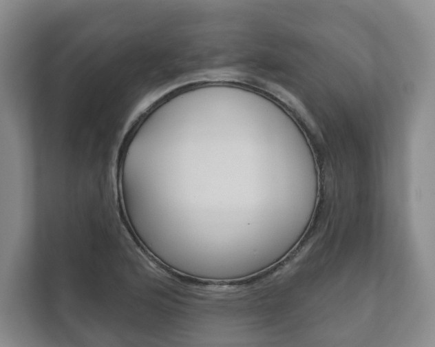 X0000111941176200907271008