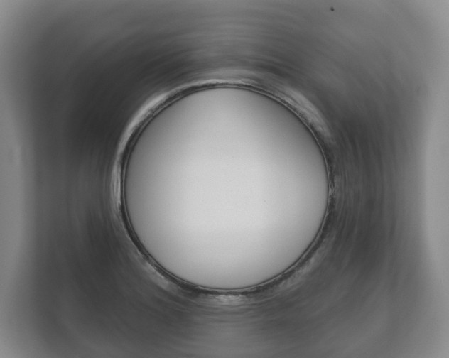 X0000111941180200907271008