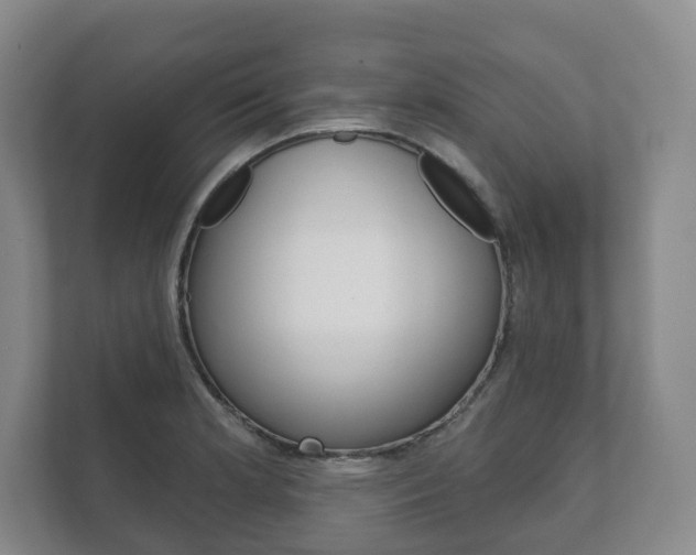 X0000111941181200907271008