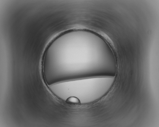 X0000111941183200907271008