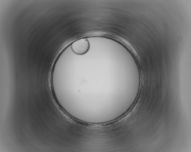 X0000111941186200907271008