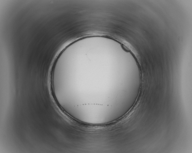 X0000111941187200907271008