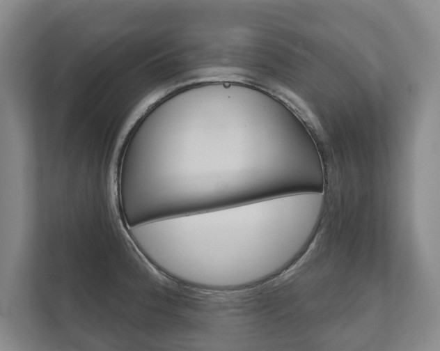 X0000111941188200907271008