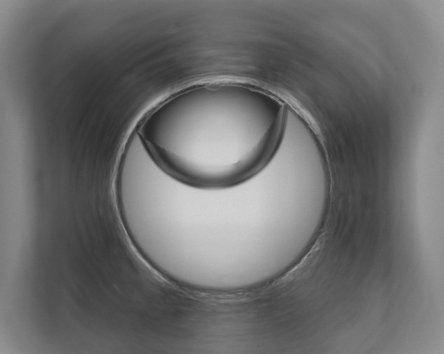 X0000111941189200907271008