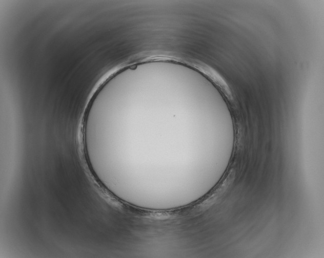 X0000111941190200907271008