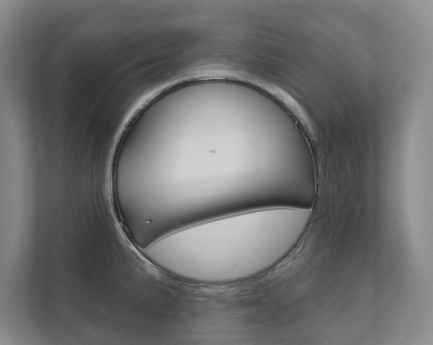 X0000111941191200907271008