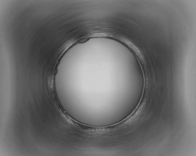 X0000111941193200907271008