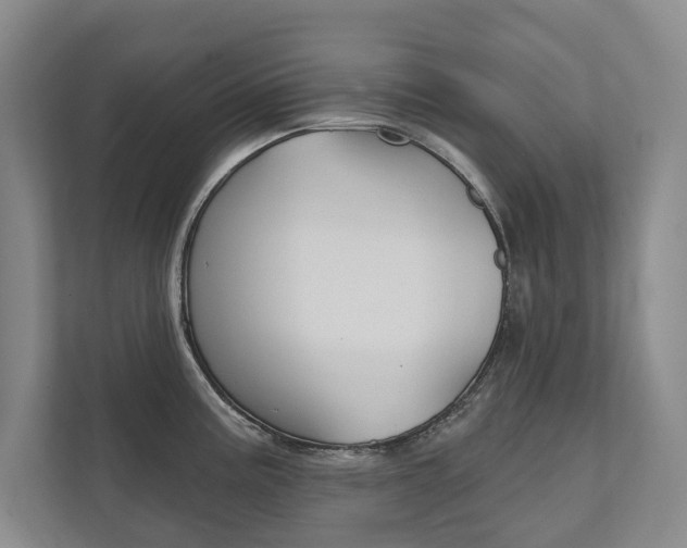 X0000111941195200907271008
