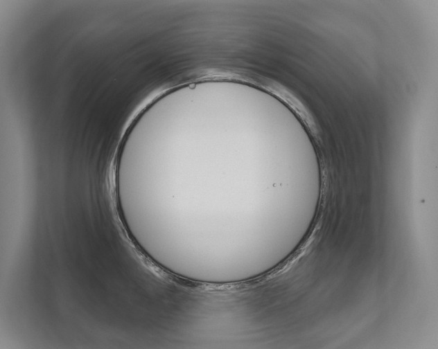 X0000111941198200907271008