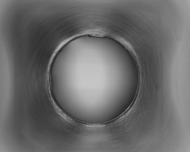 X0000111941200200907271008