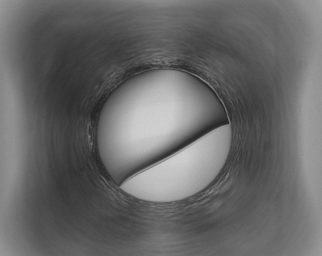 X0000111941202200907271007