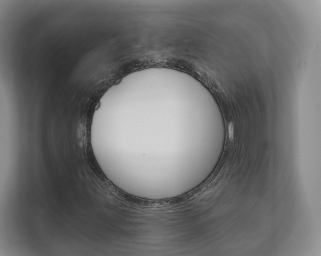 X0000111941203200907271007