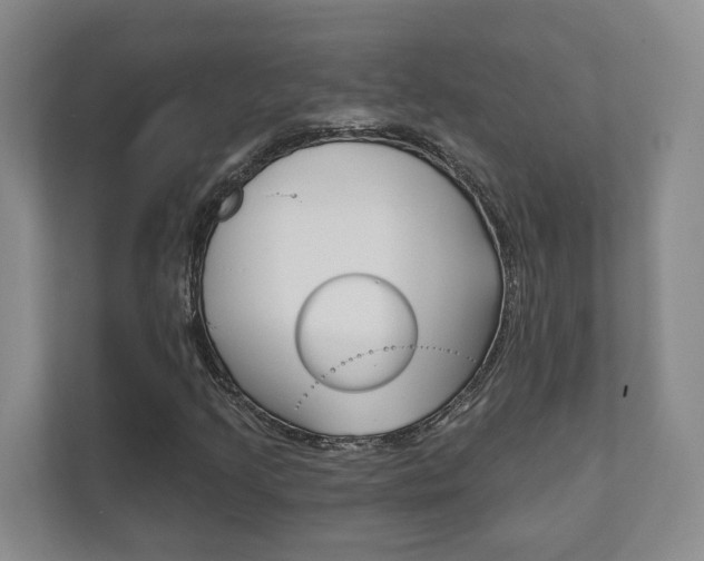 X0000111941205200907271007