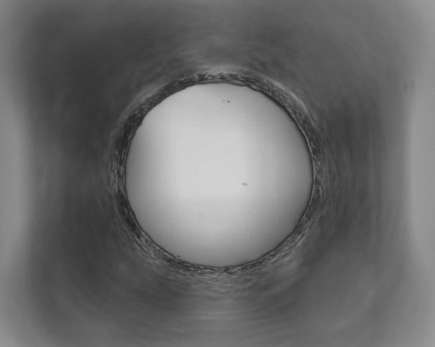 X0000111941207200907271007