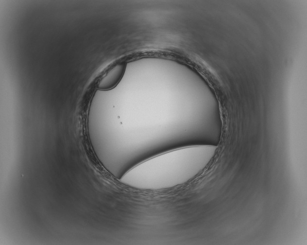 X0000111941208200907271007
