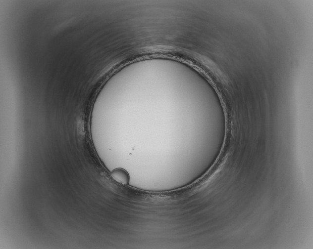 X0000111941209200907271007