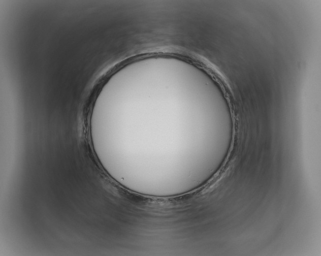 X0000111941215200907271007