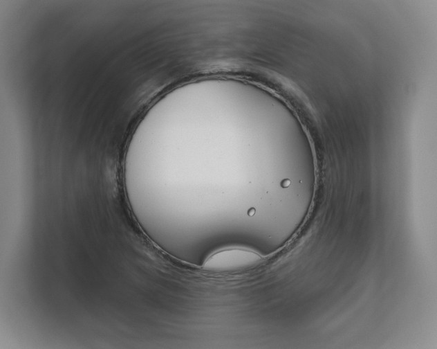 X0000111941217200907271007