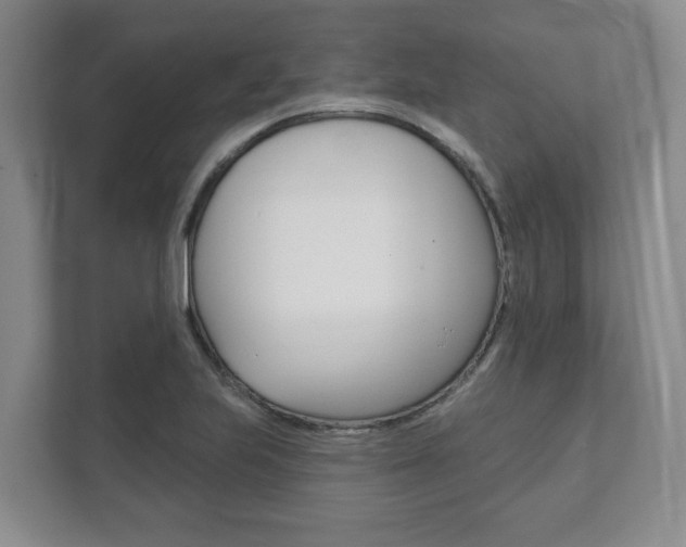 X0000111941223200907271007