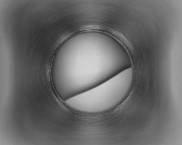 X0000111941225200907271007