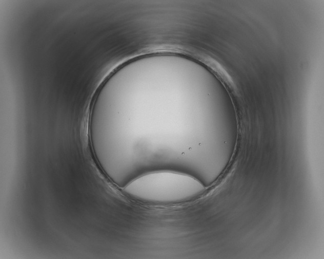 X0000111941228200907271007