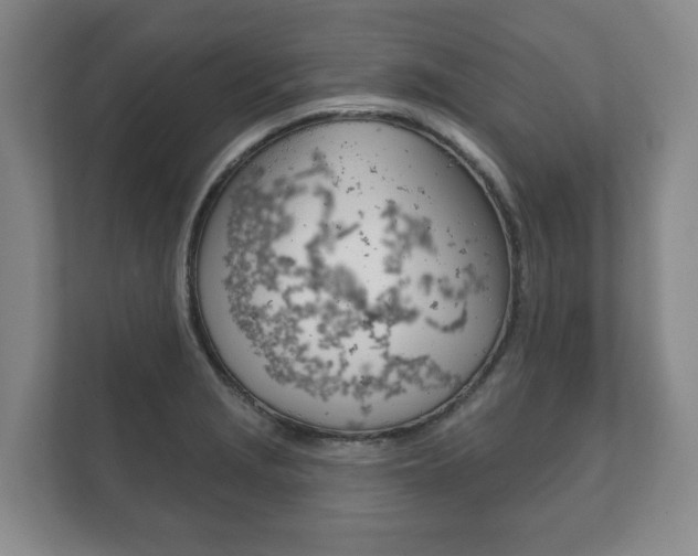 X0000111941229200907271007