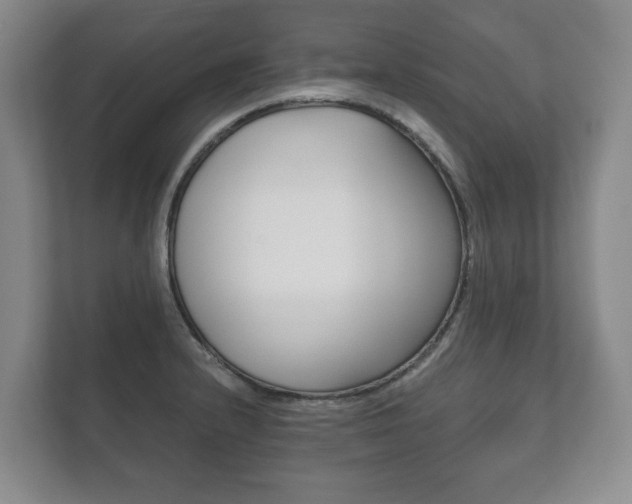 X0000111941232200907271007