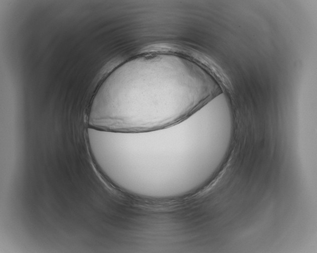 X0000111941233200907271007
