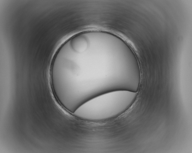 X0000111941239200907271007