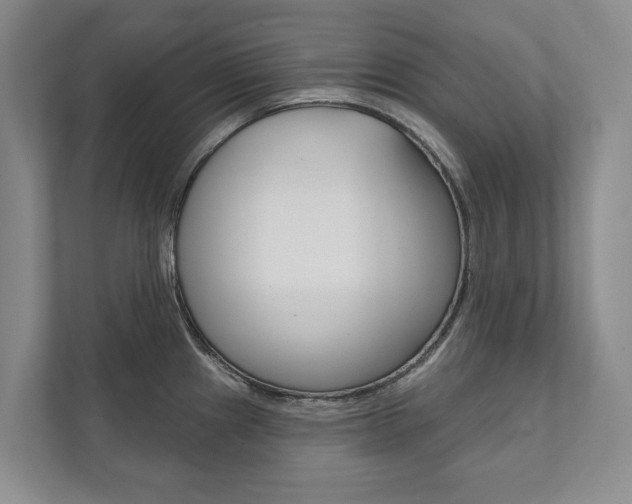 X0000111941241200907271008