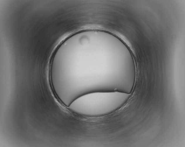 X0000111941245200907271008