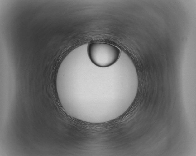 X0000111941249200907271007