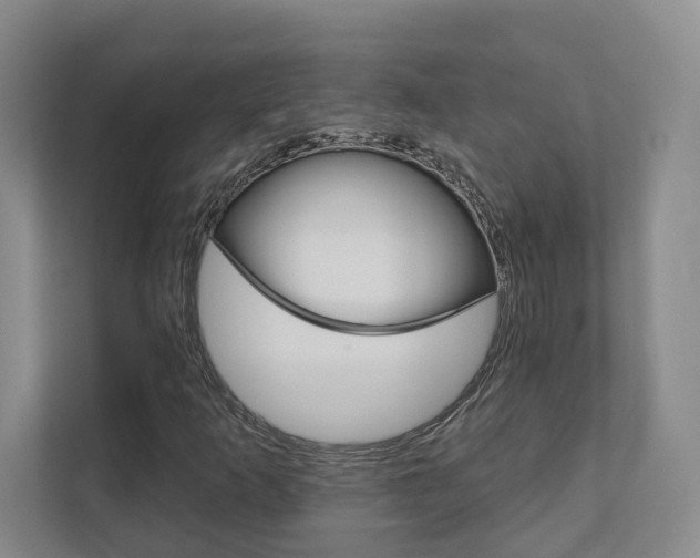 X0000111941253200907271007
