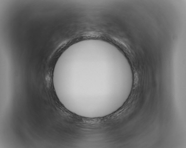 X0000111941254200907271007