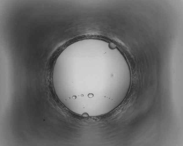X0000111941255200907271007