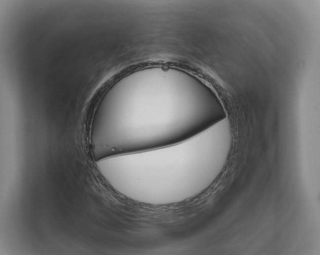 X0000111941256200907271007