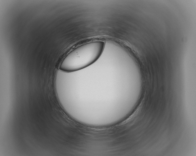 X0000111941257200907271007