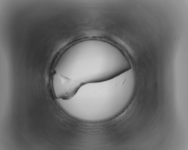 X0000111941261200907271007