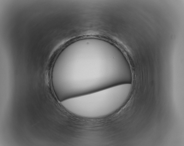 X0000111941262200907271007