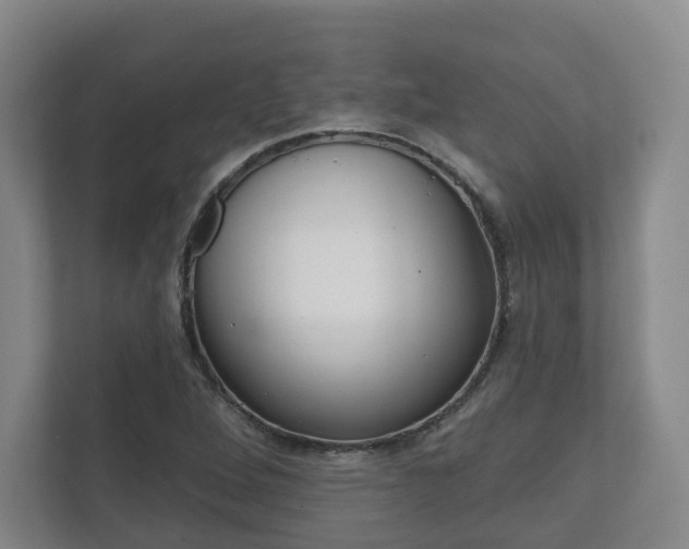 X0000111941264200907271007