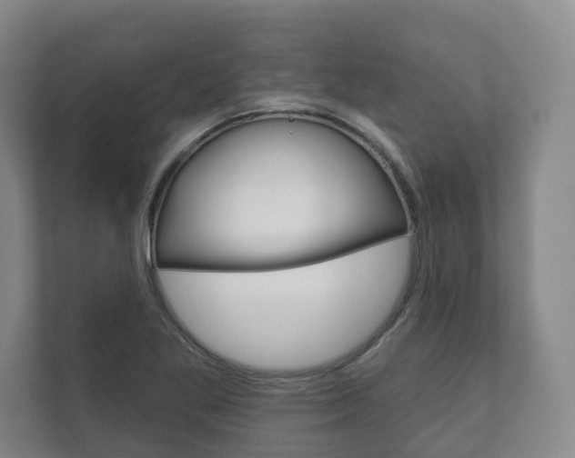 X0000111941269200907271007