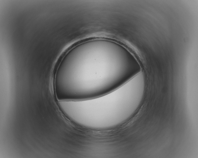 X0000111941272200907271007