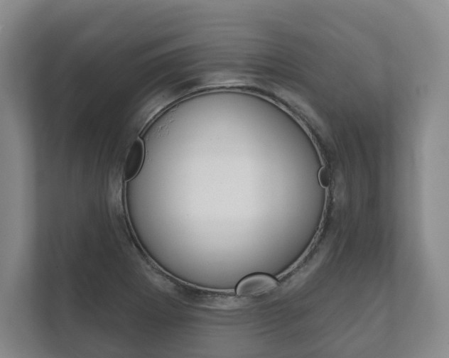 X0000111941273200907271007