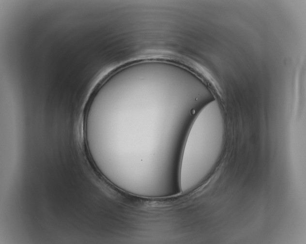 X0000111941275200907271007